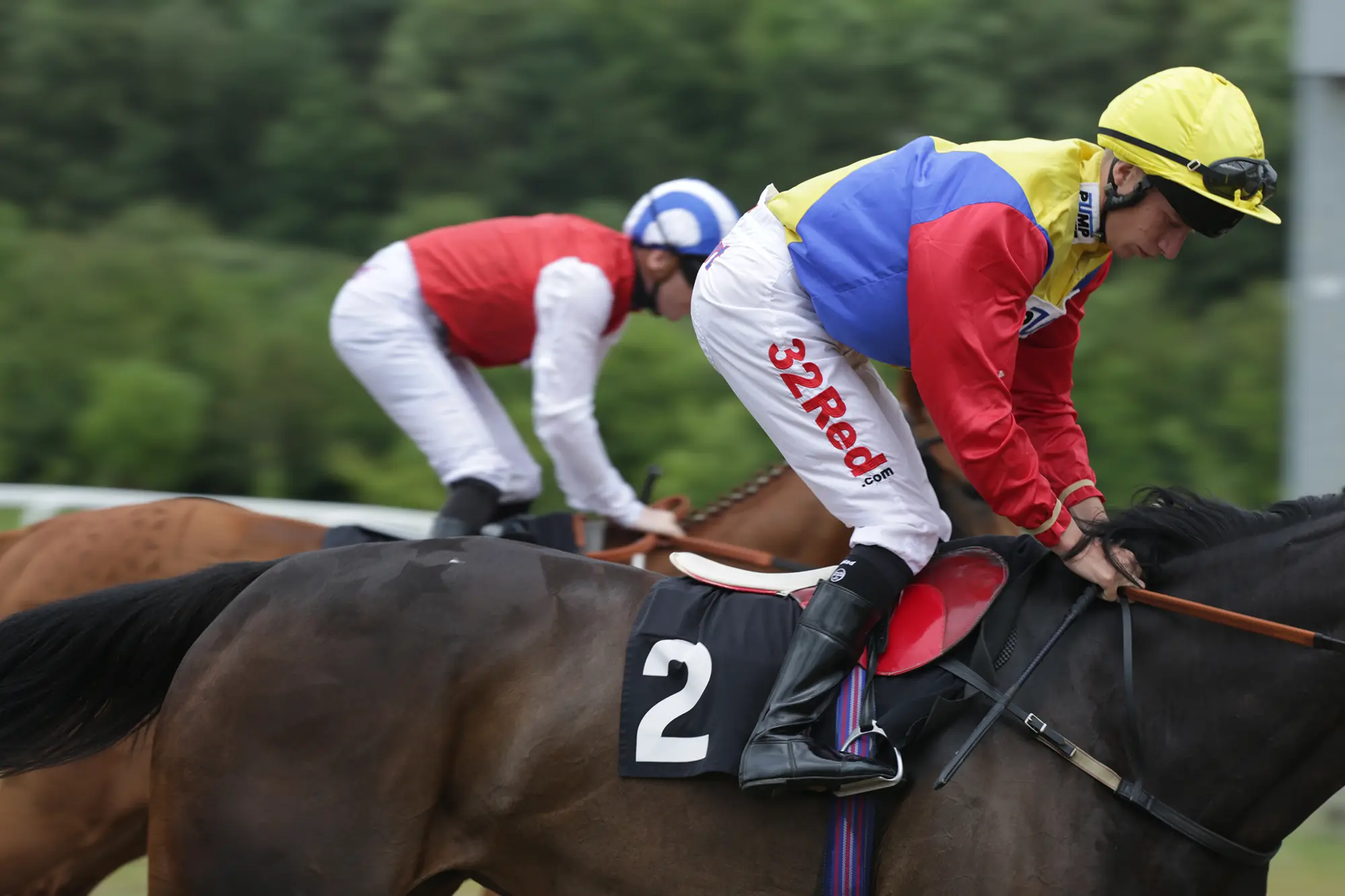 horses racing at Chelmsford City Racecourse